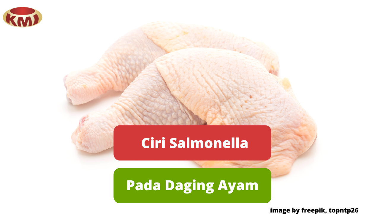 Berikut Ini Ciri Daging Ayam Yang Terkontaminasi Salmonella